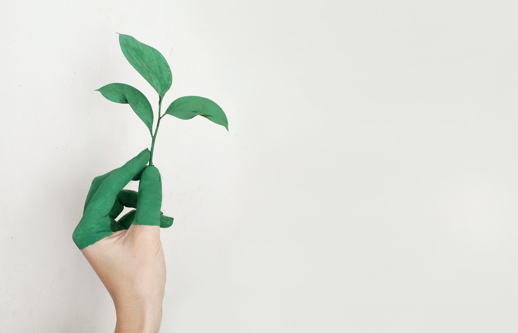 A hand holding a plant, symbolizing sustainability
