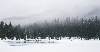 The Quiet Snow: Does Snow Reduce Noise?