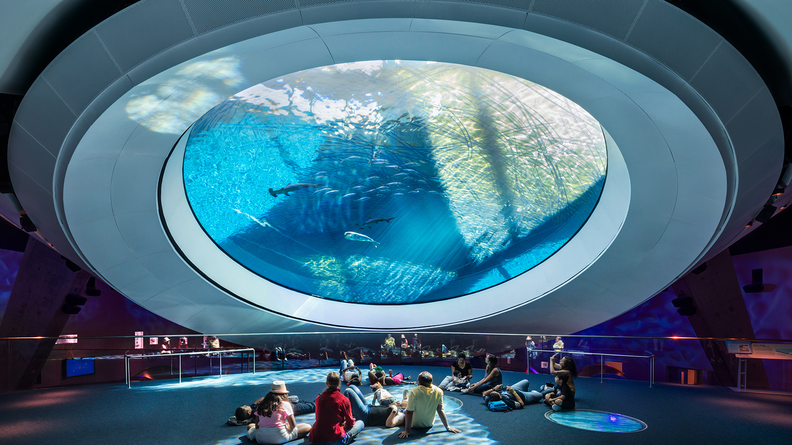 Grimshaw Frost Museum, a large window in the bottom of an aquarium tank, guests sit under the window observing fish.