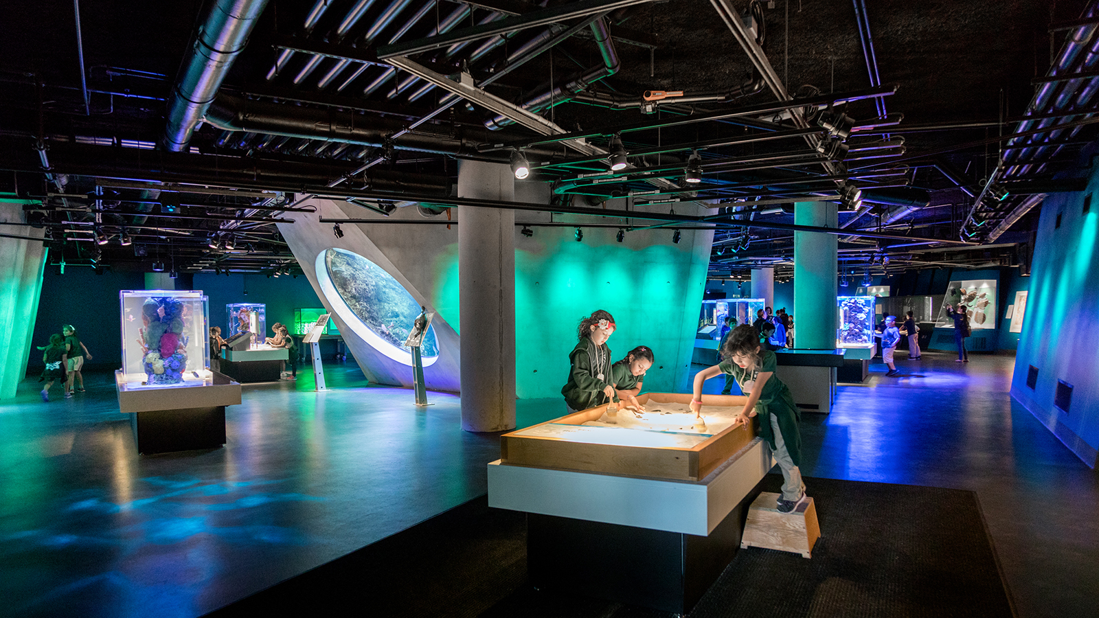 Grimshaw Frost Museum, aquatics exhibit, children use interactive exhibits