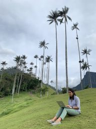 Mariana Botero working on her laptop on a tropical hillside with palmtrees