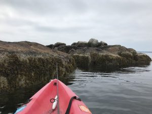 Jay Epstein Kayak Bio Picture