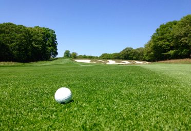 An image of a golf ball on golf green