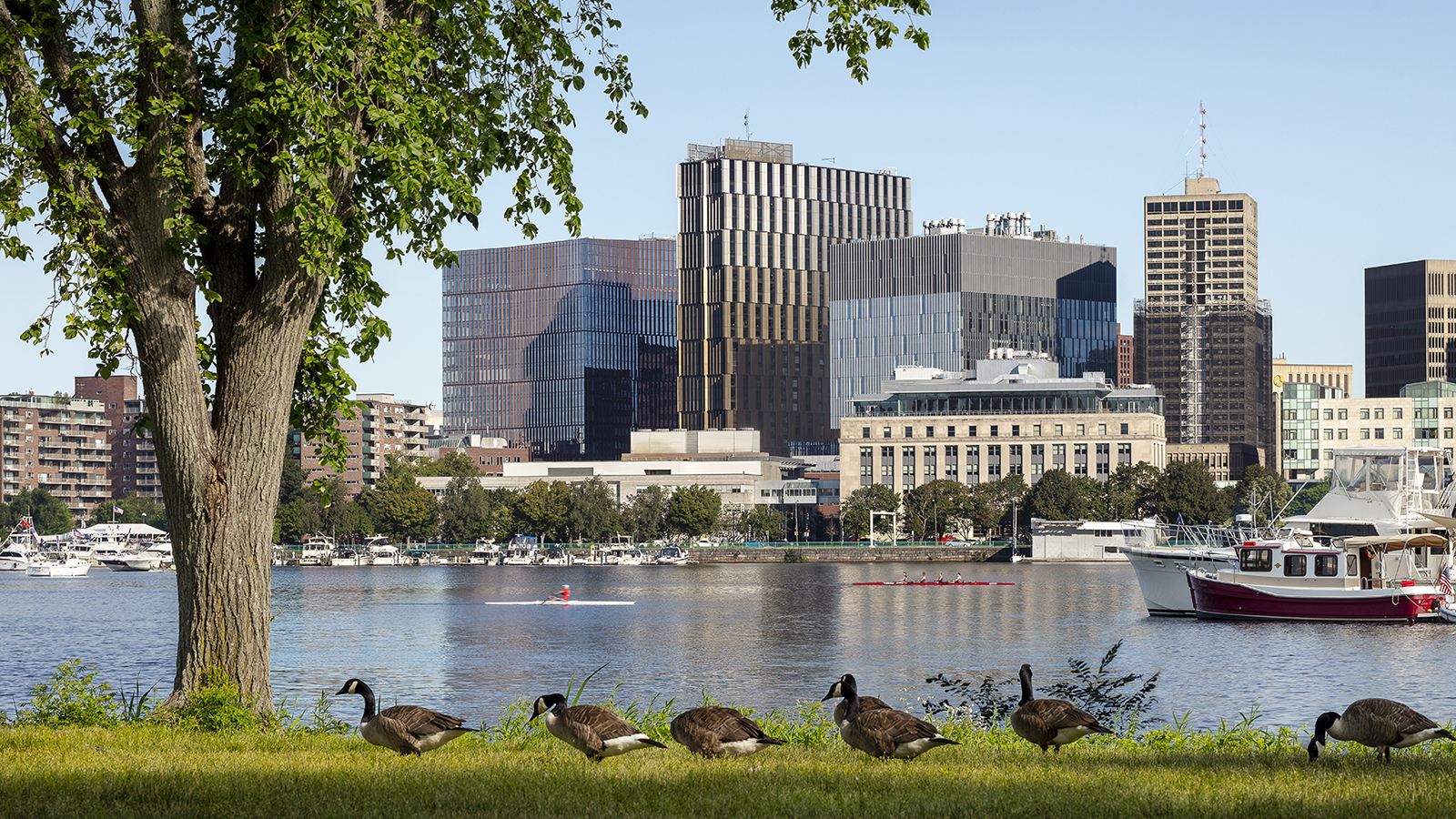 MIT Site 4 - South of Maine - from Charles RiverMIT Site 4 - South of Maine - from Charles River