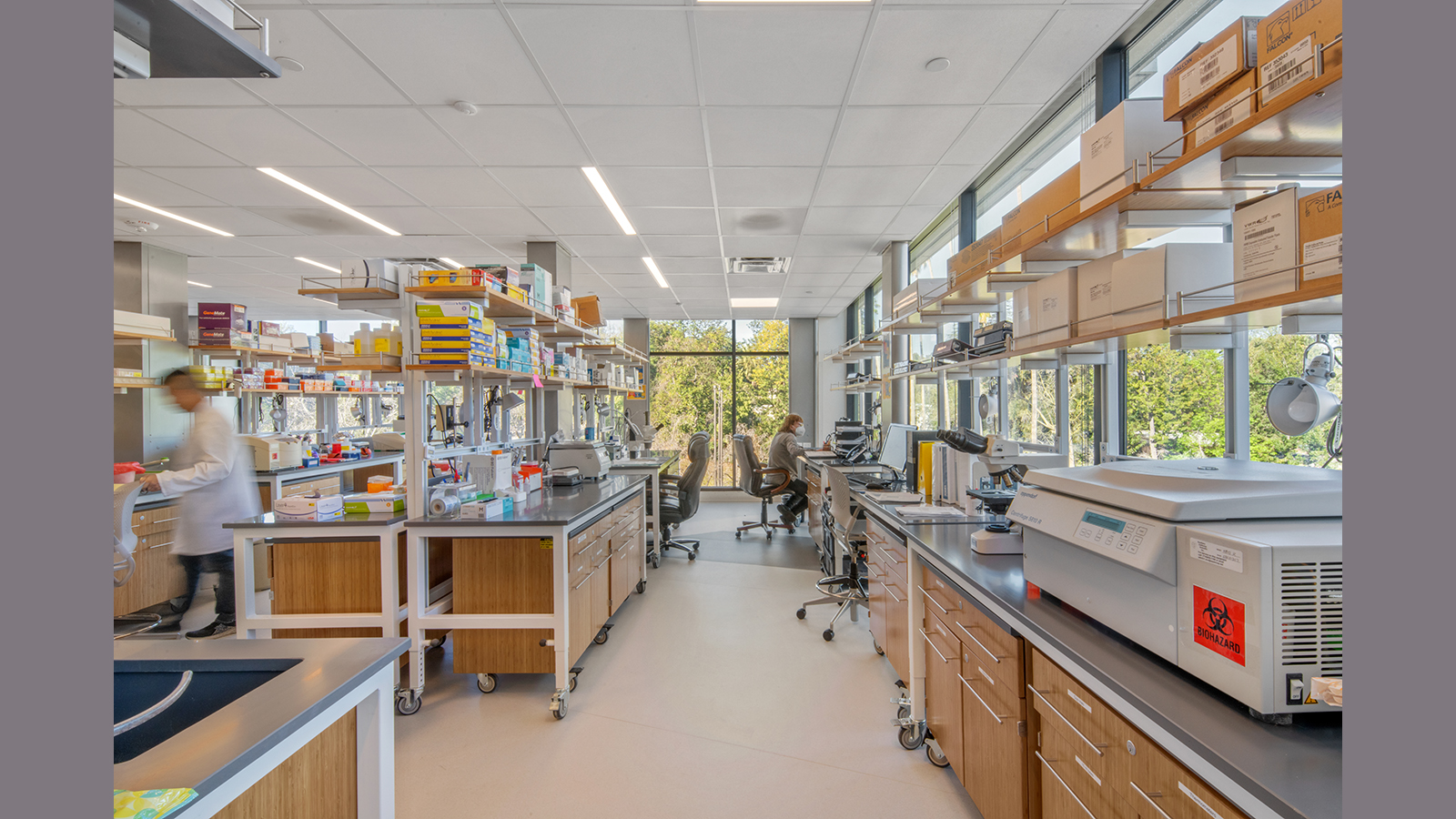 Doheny Eye Institute Lab