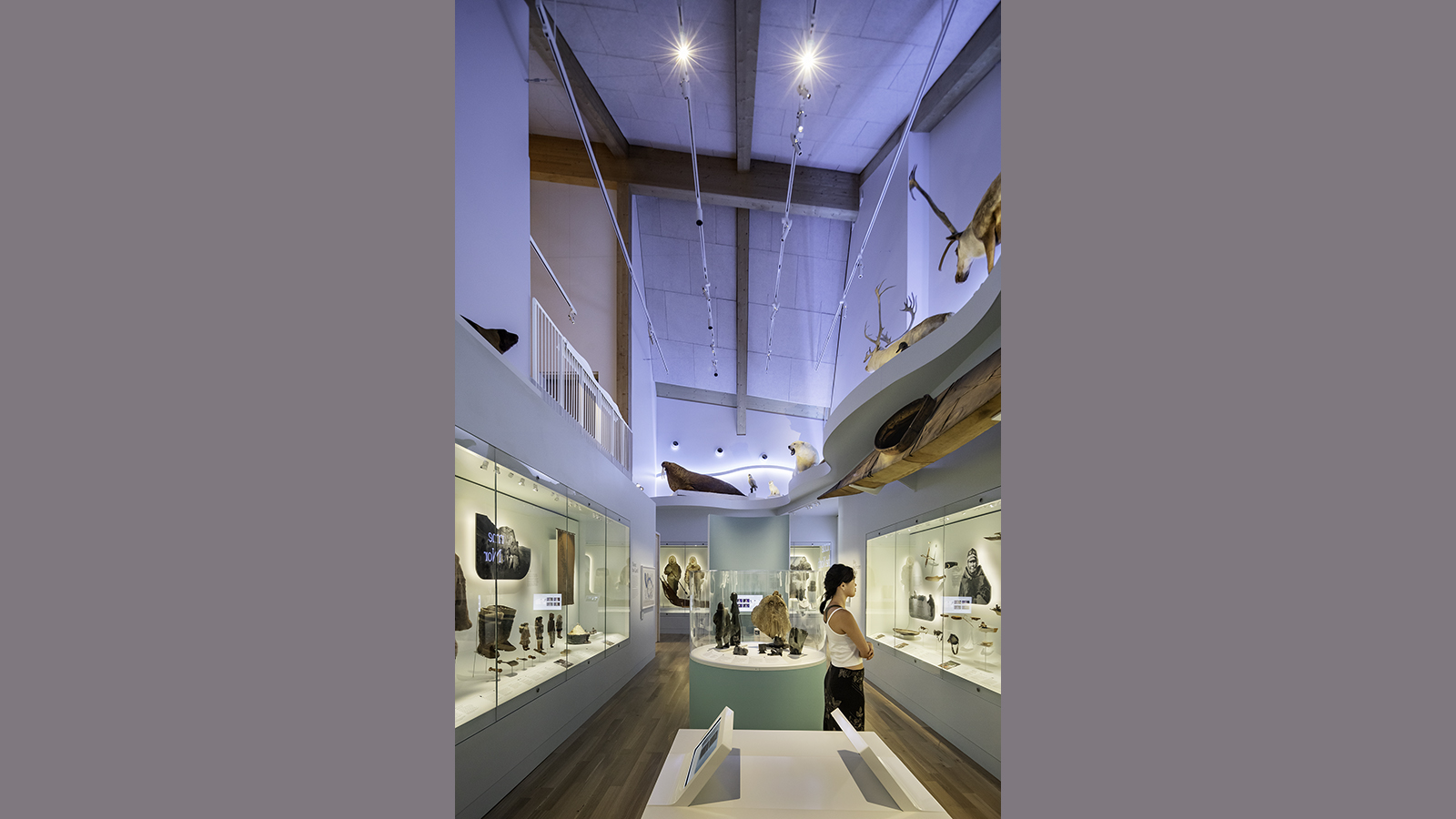 Bowdoin College Center For Arctic Studies Museum