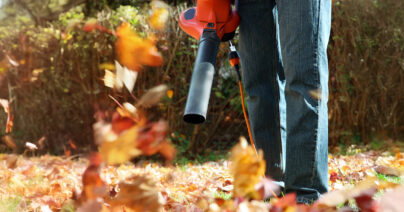 Leaf Blower Noise