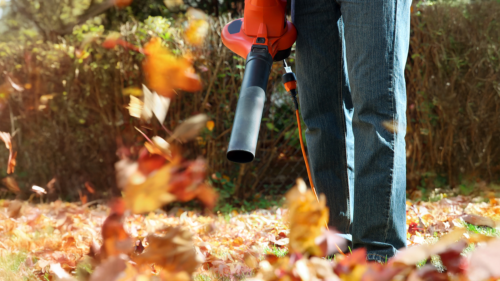 leaf blower header image