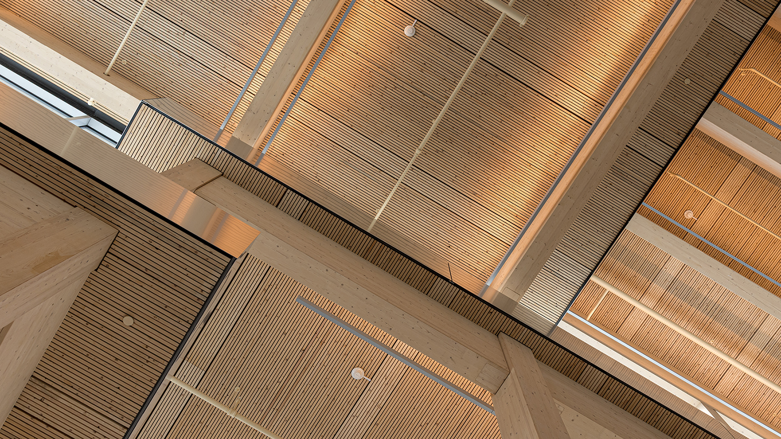 JHU Bloomberg Student Center - ceiling - Acentech